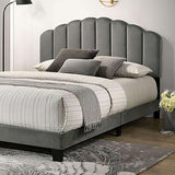  Furniture of America Christi TM7001DG-Q Queen Bed IMAGE 1
