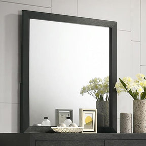  Furniture of America Latimer FM7270BK-M Mirror IMAGE 1