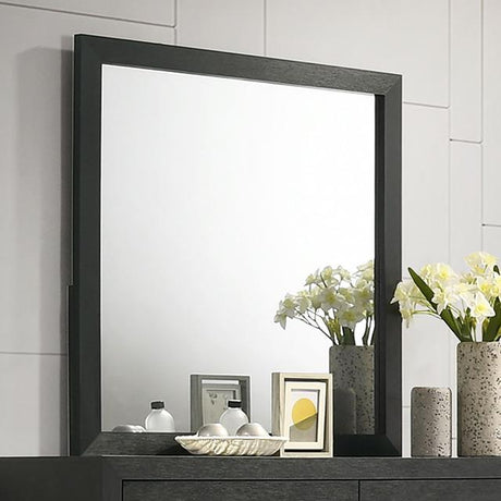  Furniture of America Latimer FM7270BK-M Mirror IMAGE 1