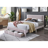  Furniture of America Melba TM7104PK-Q Queen Bed IMAGE 2