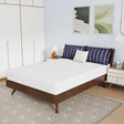  Furniture of America Nasturtium DM808-F 8" Full Bamboo Charcoal Infused Memory Foam IMAGE 1