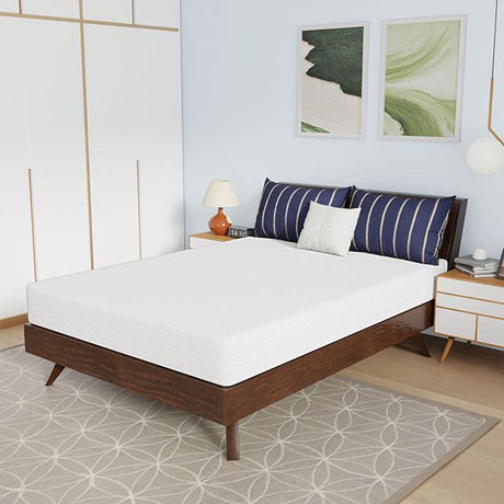  Furniture of America Nasturtium DM808-F 8" Full Bamboo Charcoal Infused Memory Foam IMAGE 1