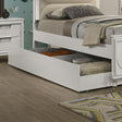 Furniture of America Lareina FM72081WH-TR Trundle IMAGE 1
