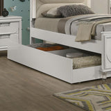  Furniture of America Lareina FM72081WH-TR Trundle IMAGE 1