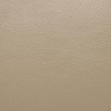  Furniture of America Schlieren FM6012BG-SF-PM Power Sofa IMAGE 4