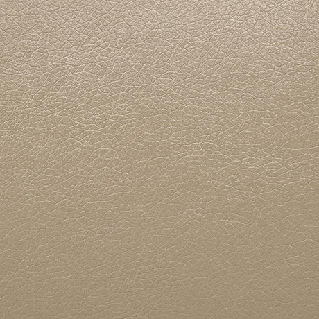  Furniture of America Schlieren FM6012BG-SF-PM Power Sofa IMAGE 4