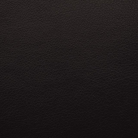  Furniture of America Schlieren FM6012BK-LV-PM Power Loveseat IMAGE 4