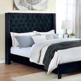  Furniture of America Ryleigh FM7141BK-Q-BED Queen Bed IMAGE 1