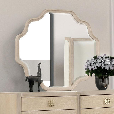  Furniture of America Candra FM7424AK-M Mirror IMAGE 1