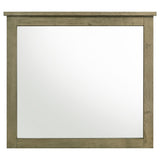  Coaster Furniture Hazlewood 207534 Dresser Mirror - Vineyard Oak IMAGE 1