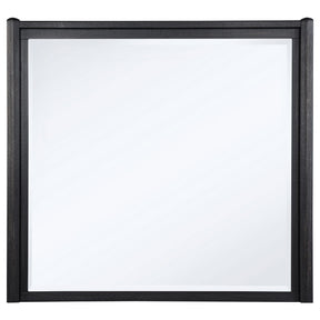  Coaster Furniture Leandro 222494 Dresser Mirror - Burnished Black IMAGE 1
