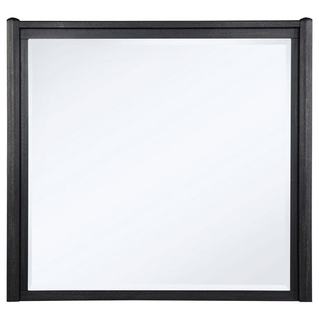  Coaster Furniture Leandro 222494 Dresser Mirror - Burnished Black IMAGE 1