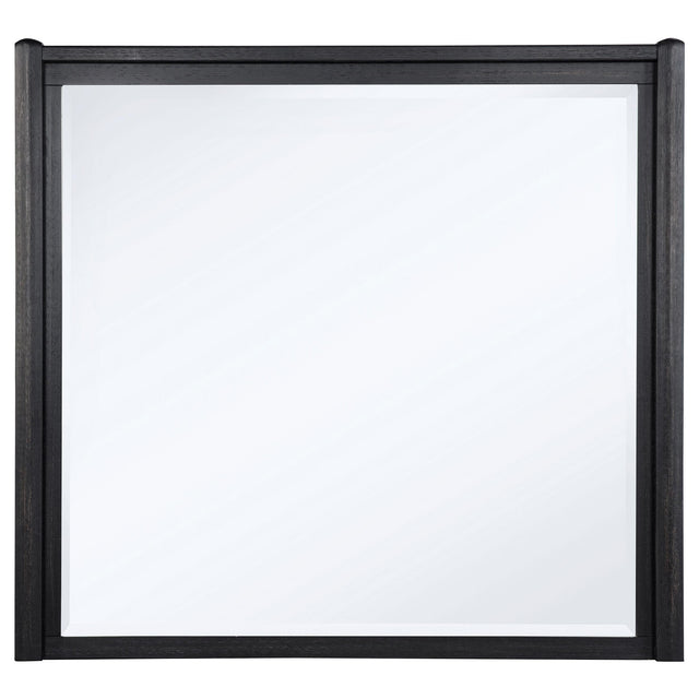  Coaster Furniture Leandro 222494 Dresser Mirror - Burnished Black IMAGE 1