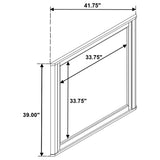  Coaster Furniture Leanne 223134 Dresser Mirror - Light Oak IMAGE 6