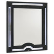  Coaster Furniture Ravenne 223194 Velvet Upholstered LED Dresser Mirror - Black IMAGE 1