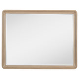  Coaster Furniture Ladera 225084 Dresser Mirror - Light Elm IMAGE 1