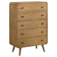  Coaster Furniture Robyn 225095 5-drawer Bedroom Chest - Light Ash IMAGE 1