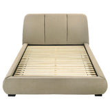  Coaster Furniture Mokena 310091Q 46-inch Upholstered Queen Platform Bed - Brown IMAGE 5