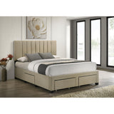  Coaster Furniture Wheatland 316010Q 4-drawer Upholstered Queen Storage Bed - Light Brown IMAGE 5