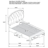  Coaster Furniture Marianna 316011F 4-drawer Upholstered Full Storage Bed - Cream IMAGE 13