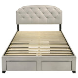  Coaster Furniture Marianna 316011Q 4-drawer Upholstered Queen Storage Bed - Cream IMAGE 9