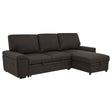  Coaster Furniture Demko 500356 Sleeper Sectional Sofa with Speaker and Storage Chaise - Brown IMAGE 1