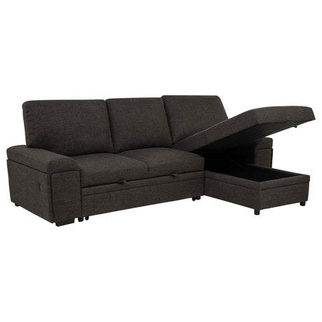  Coaster Furniture Demko 500356 Sleeper Sectional Sofa with Speaker and Storage Chaise - Brown IMAGE 19