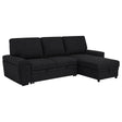  Coaster Furniture Demko 500357 Sleeper Sectional Sofa with Speaker and Storage Chaise - Black IMAGE 1