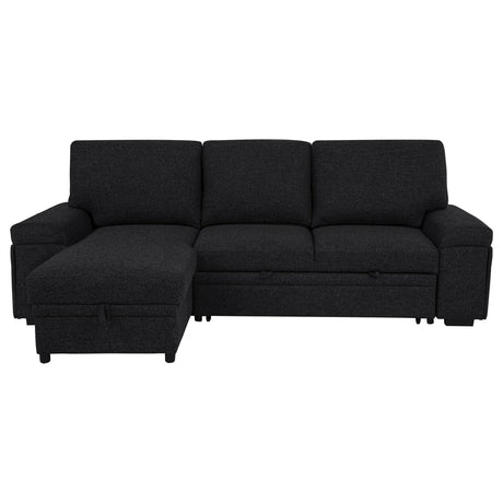  Coaster Furniture Demko 500357 Sleeper Sectional Sofa with Speaker and Storage Chaise - Black IMAGE 13
