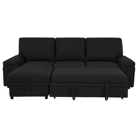  Coaster Furniture Demko 500357 Sleeper Sectional Sofa with Speaker and Storage Chaise - Black IMAGE 17
