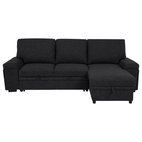  Coaster Furniture Demko 500357 Sleeper Sectional Sofa with Speaker and Storage Chaise - Black IMAGE 5