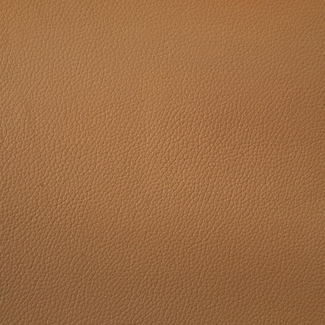  Coaster Furniture Buxton 509502 Top Grain Leather Upholstered Loveseat - Orange IMAGE 9
