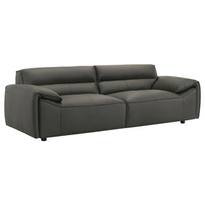  Coaster Furniture Buxton 509504 Top Grain Leather Upholstered Sofa - Graphite IMAGE 1