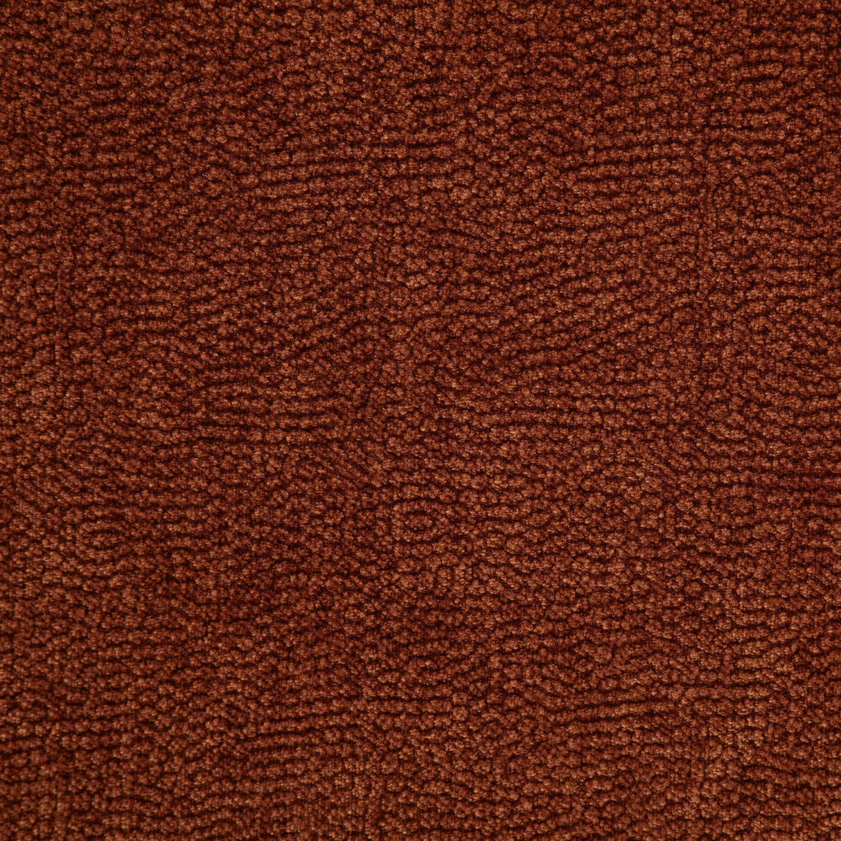  Coaster Furniture Navarro 609574 Chenille Upholstered Reclining Sofa - Burnt Orange IMAGE 14