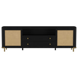  Coaster Furniture Arini 720263 Rattan Cane 2-door TV Stand Media Console - Black IMAGE 15