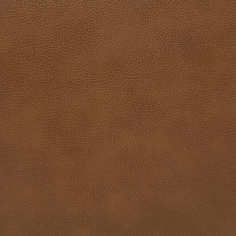  Coaster Furniture Rosalind 903019 Upholstered Track Arm Accent Chair - Brown IMAGE 10