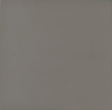 Deepika 4-panel Folding Screen Grey Driftwood