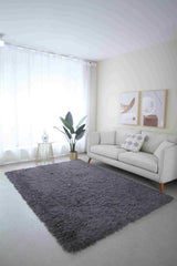 MEILIN-S SHAGGY Rug