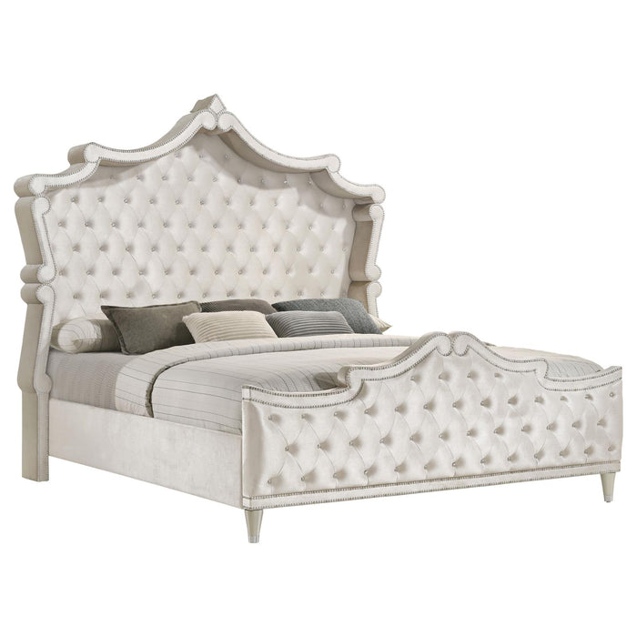 Antonella Queen Bed